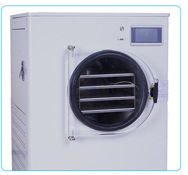 comprar 6kg 8kg 10kg 12kg 20kg por lote Máquina de secagem de mini secador de congelamento médio com bomba sem óleo Fabricação em linha