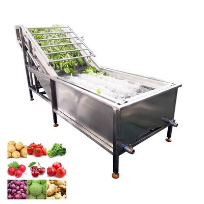 comprar Sistema de ozono de lavagem de gengibre multifuncional de água de bolha dupla Espinafre Industrial de lavagem de frutas Fabricação em linha
