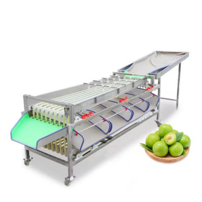 comprar Os hotéis beneficiam da seleção de peso de frutas e da classificação automática do tamanho das frutas para a máquina de processamento de frutas e legumes Fabricação em linha