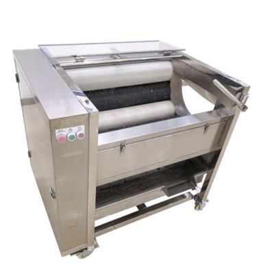 comprar Máquina de lavar frutas e legumes com classificador automático de tamanho de frutas e função de classificação Fabricação em linha