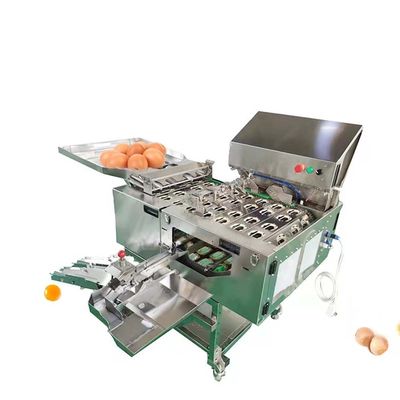 Equipamento de processamento de ovos líquidos para máquinas de pasteurização de ovos em pó